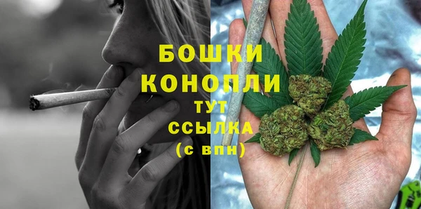 бошки Бронницы