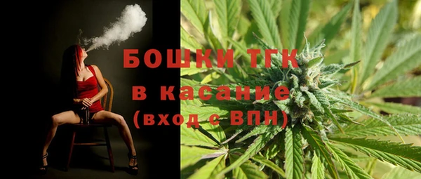 первитин Богданович